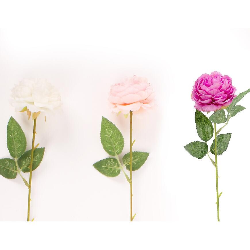 Ruža priemer 7 cm 50 cm mix 442652