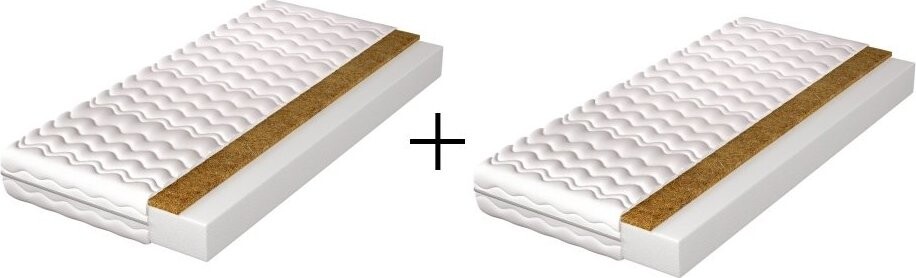 Nejlevnější nábytek Pěnová matrace BISHOP 10, 80 × 200 cm, 2 ks