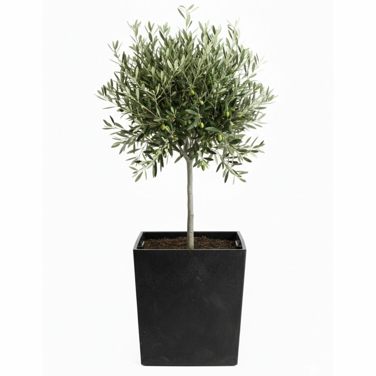 Květináč FLORE Beton 41x39,5x39,5 cm černý