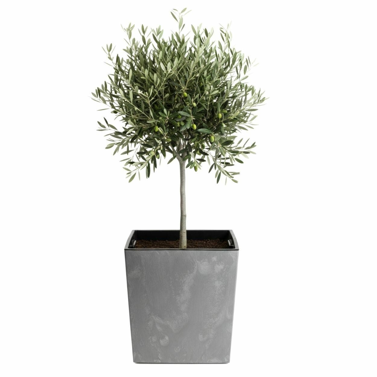 Květináč FLORE Beton 41x39,5x39,5 cm šedý