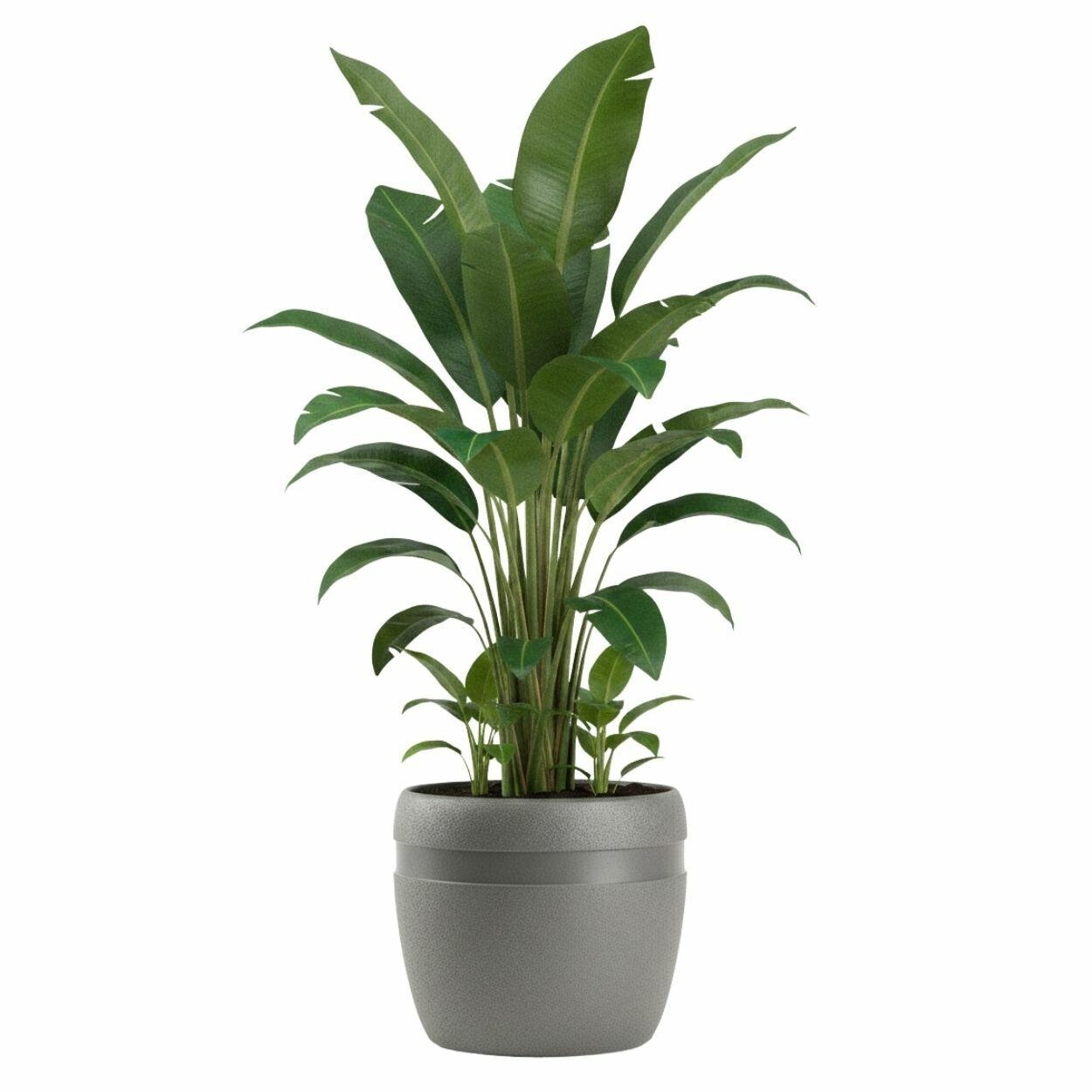 Květináč LUNA Classic 32,8 cm antracitový