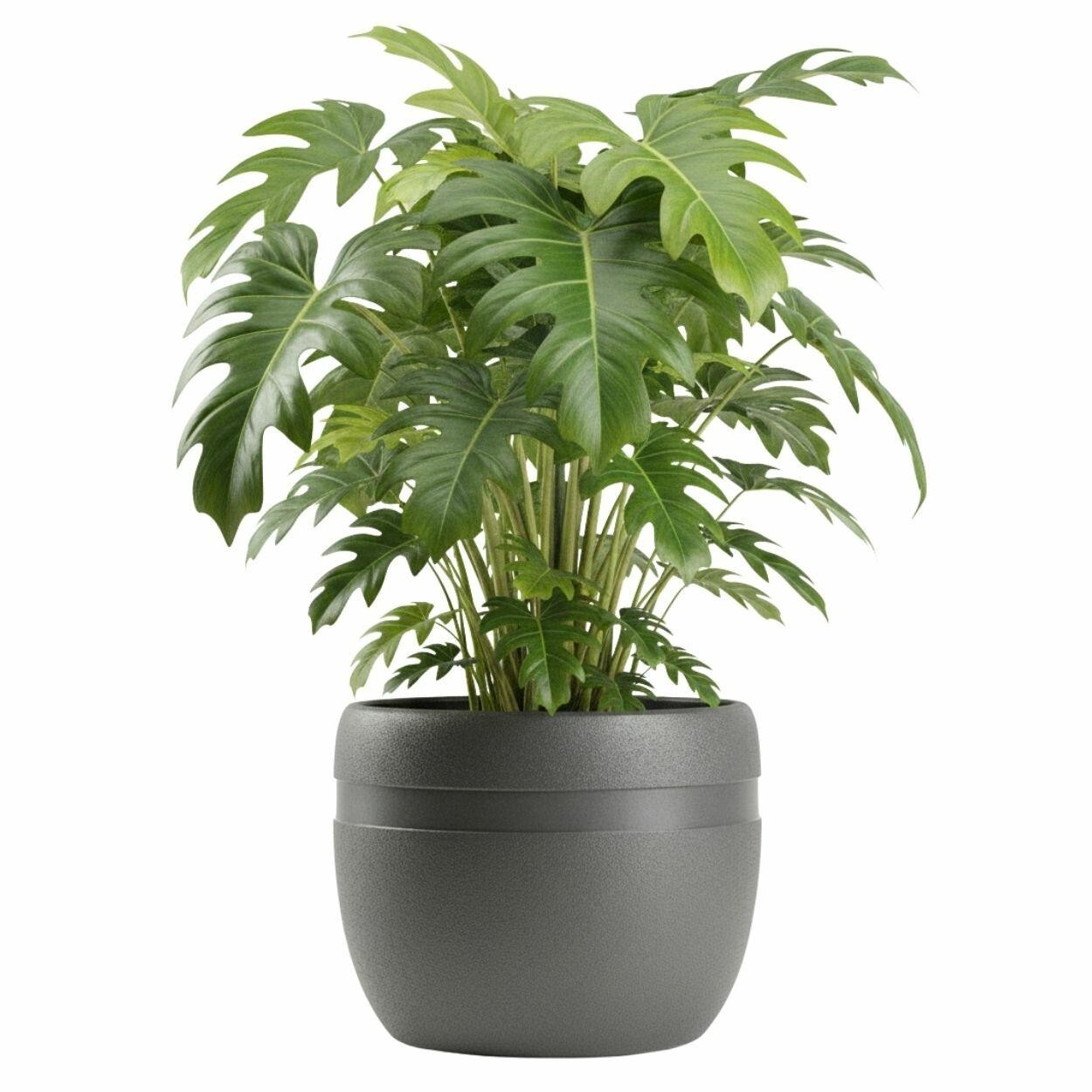 Květináč LUNA Classic 40 cm antracitový