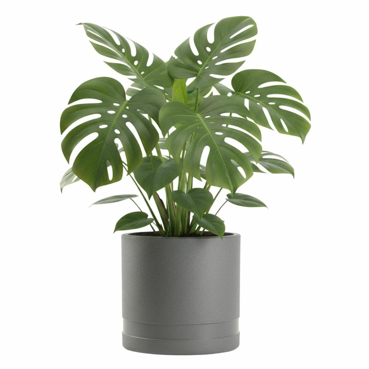 Květináč LUNA Cylinder 30,8 cm antracitový