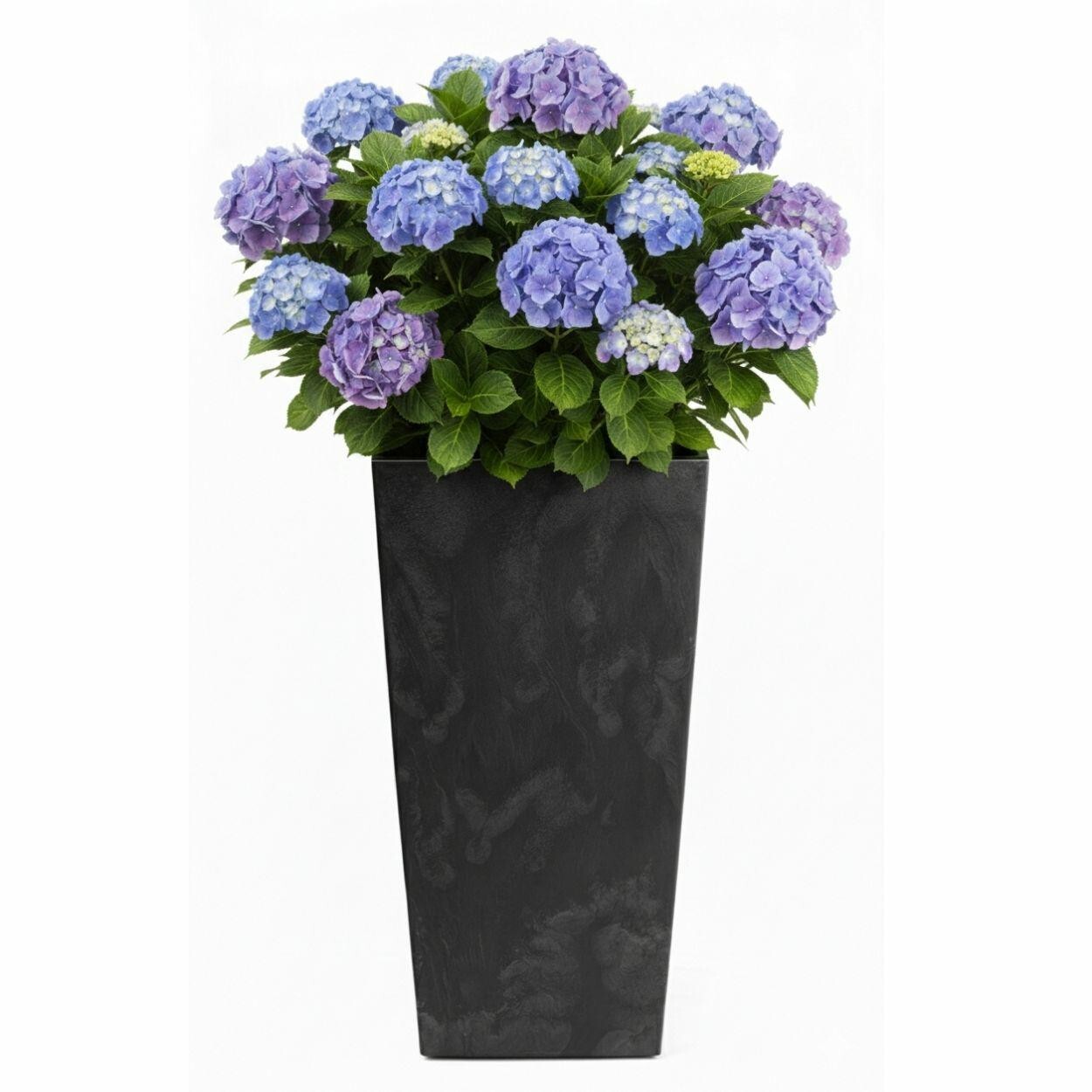 Květináč Porto 75x39,6 cm černý beton