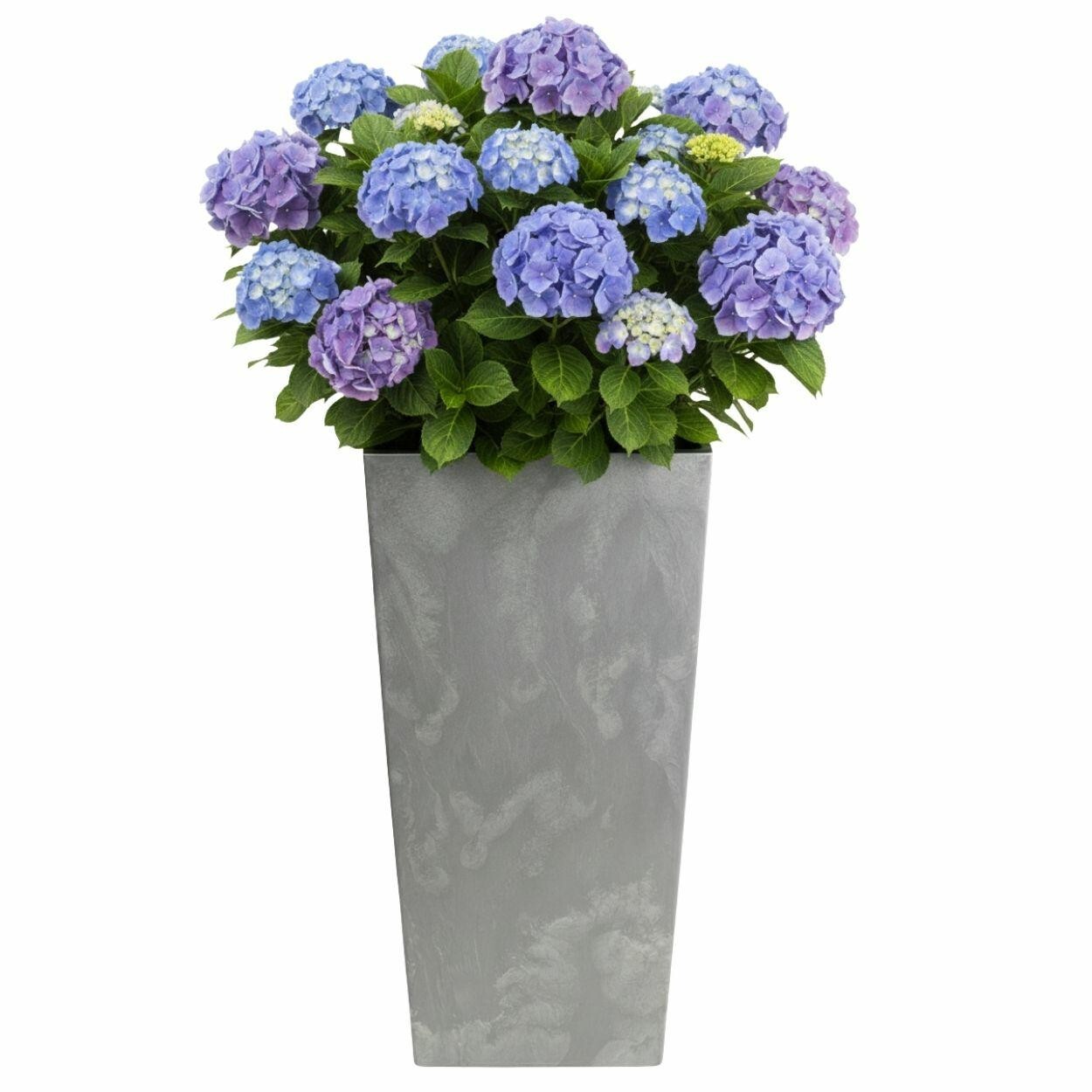 Květináč Porto 75x39,6 cm šedý beton