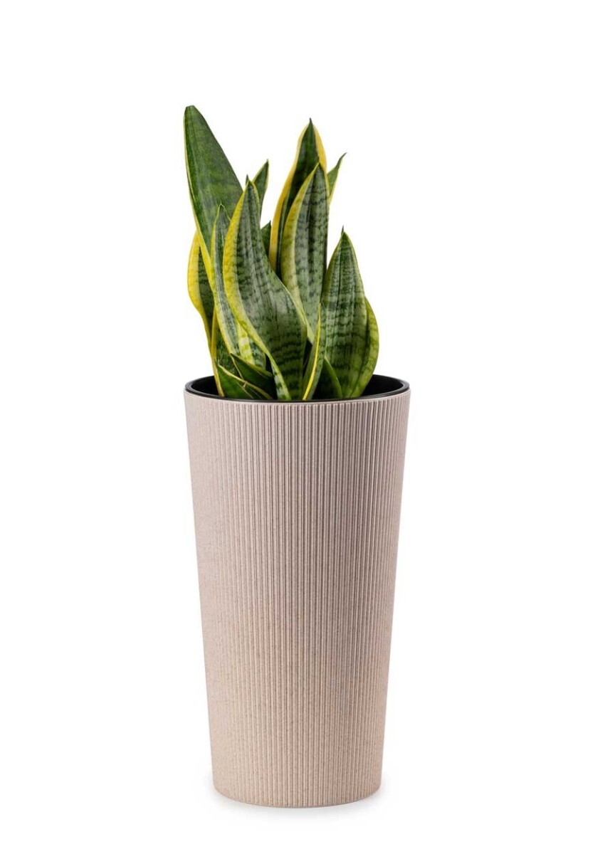 Květináč URBANIKA ECO Wood 36,4x19,6 cm bílý