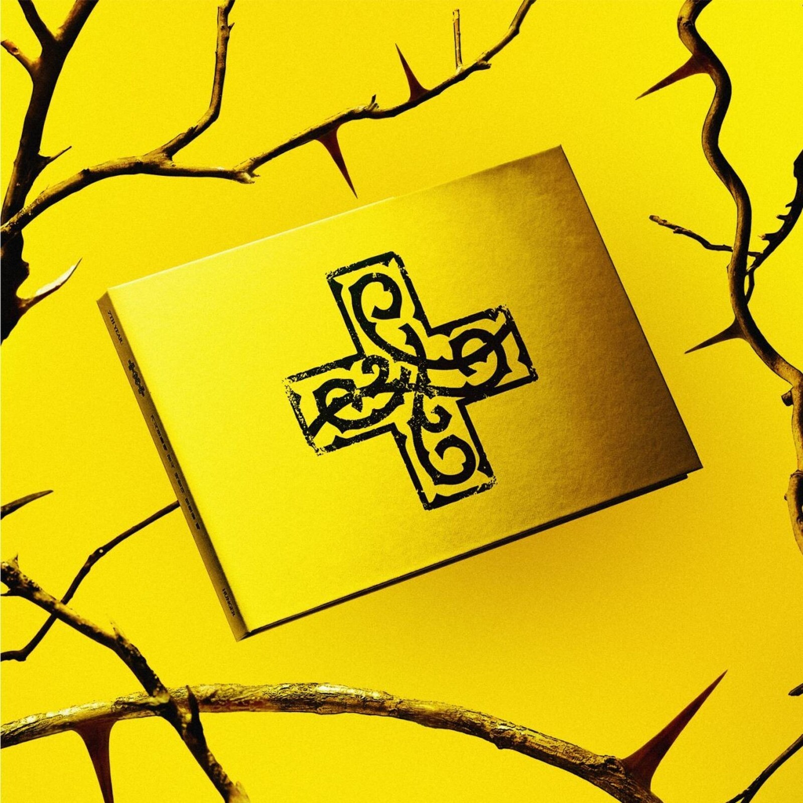 7TH YEAR: A MOMENT OF