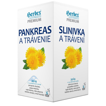 HERBEX Pankreas a trávenie 20 x 1,5 g
