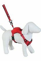 Postroj pes s vodítkem EASY RIDE červená XS Zolux VÝPREDAJ