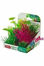 Rostliny akvarijní PLANTKIT 4 sada MINI 6ks Zolux