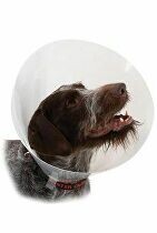 Límec ochranný BUSTER plastový Classic Collar 35cm