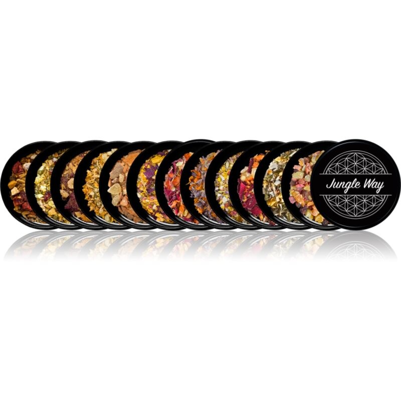 Jungle Way Discovery set Master Your Life vydymovadlá