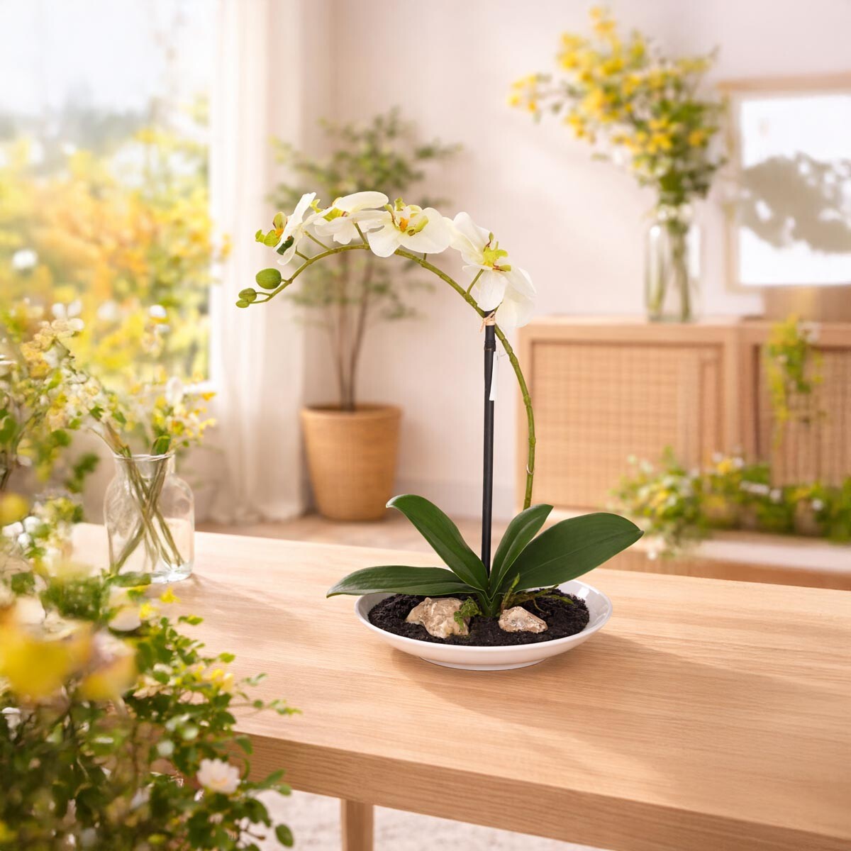 Umelá orchidea Phalaenopsis, krémovo-zelená