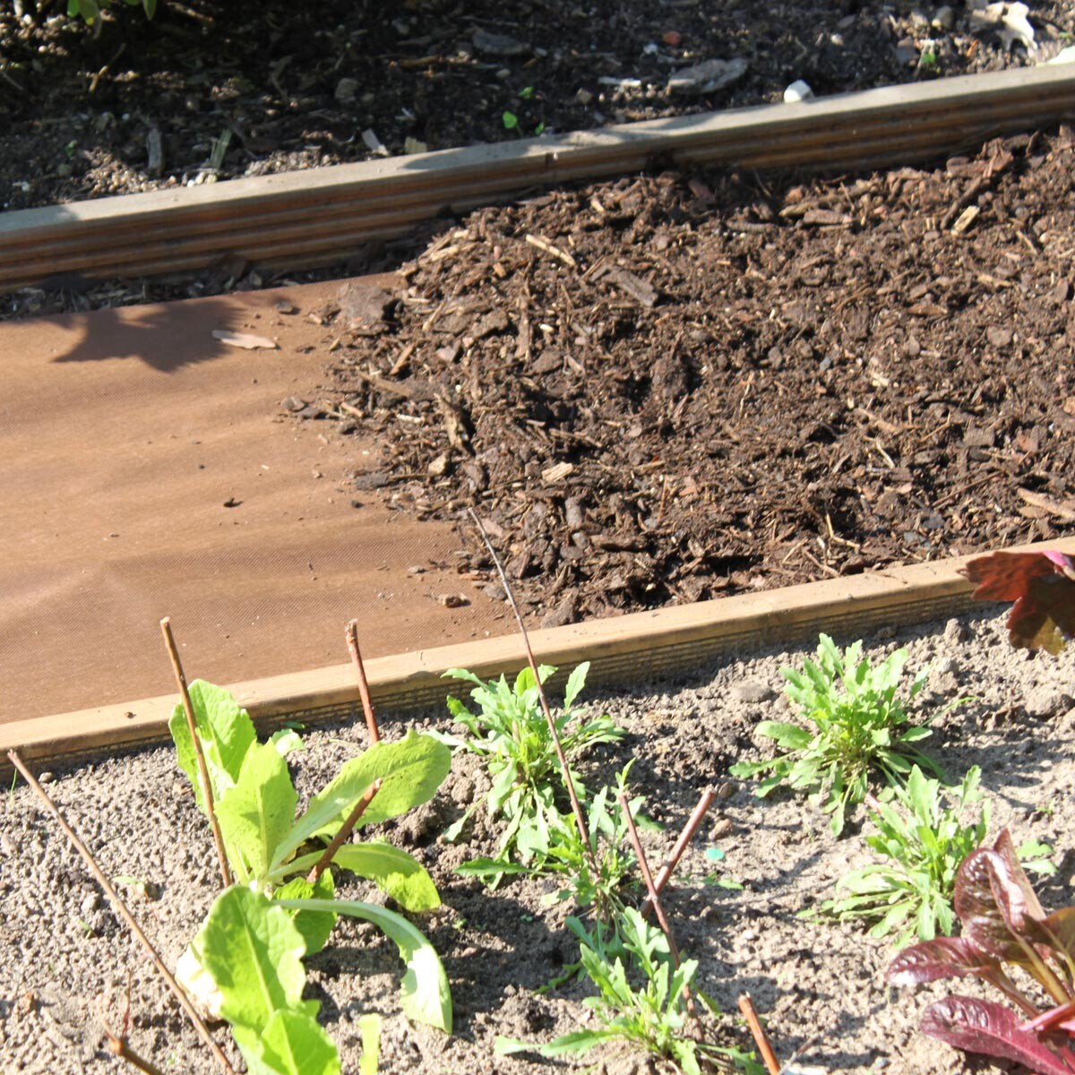 Mulčovacia kôra na burinu 1000 x 80 cm, tmavohnedá