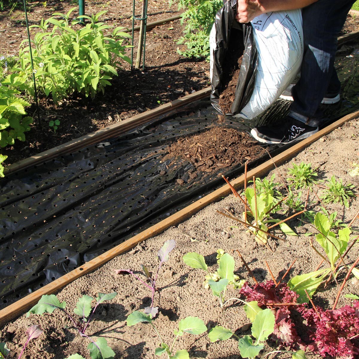 Mulčovacia kôra proti burine 500 x 150 cm, čierna