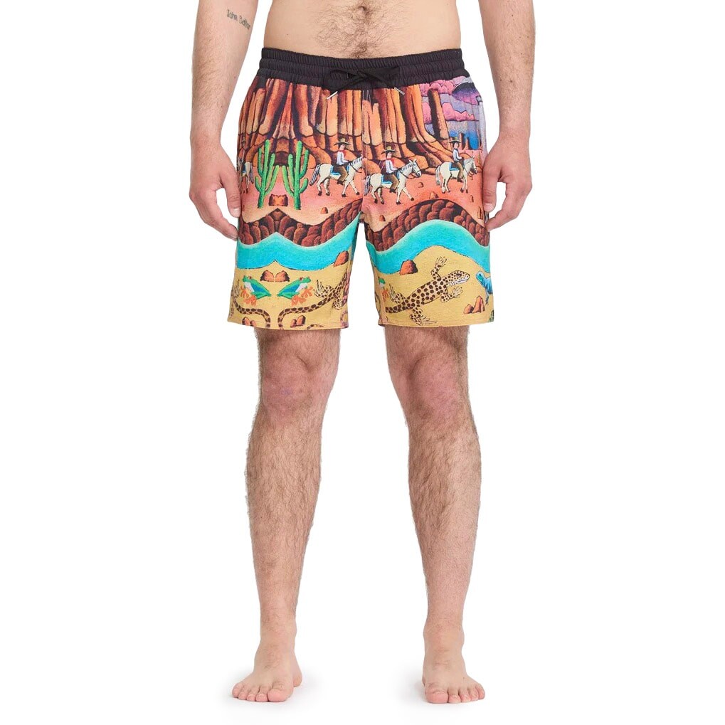 Volcom FA Mickey Mason Trunk 17
