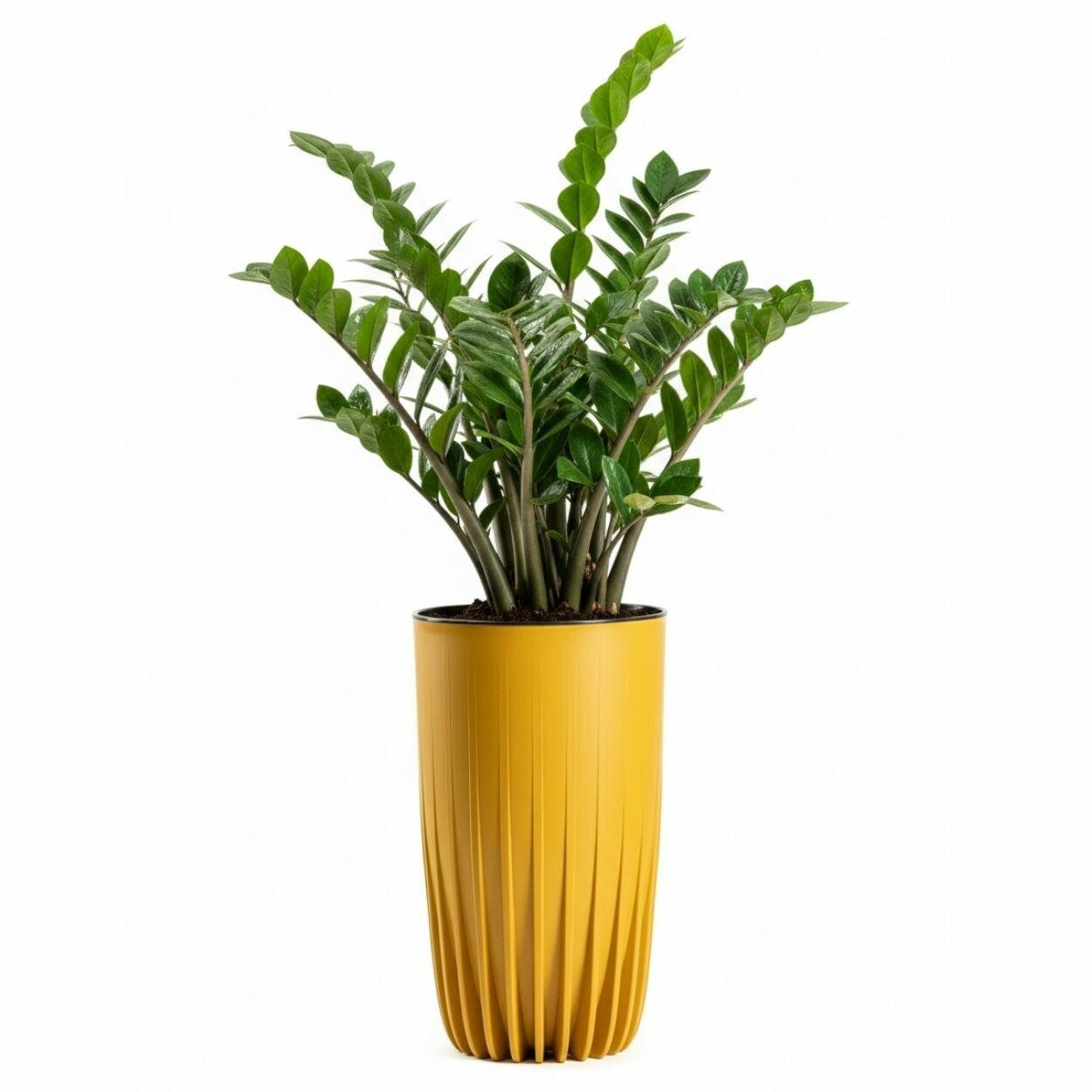 Květináč STRIPPED Eco 25,3x42 cm žlutý