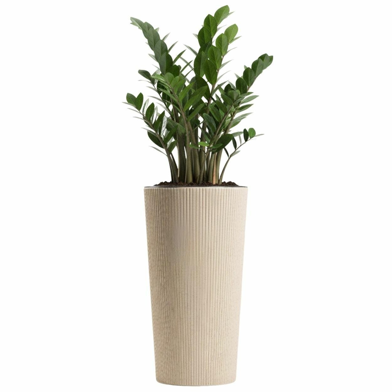 Květináč URBANIKA Coffee 36,4x19,6 cm béžový