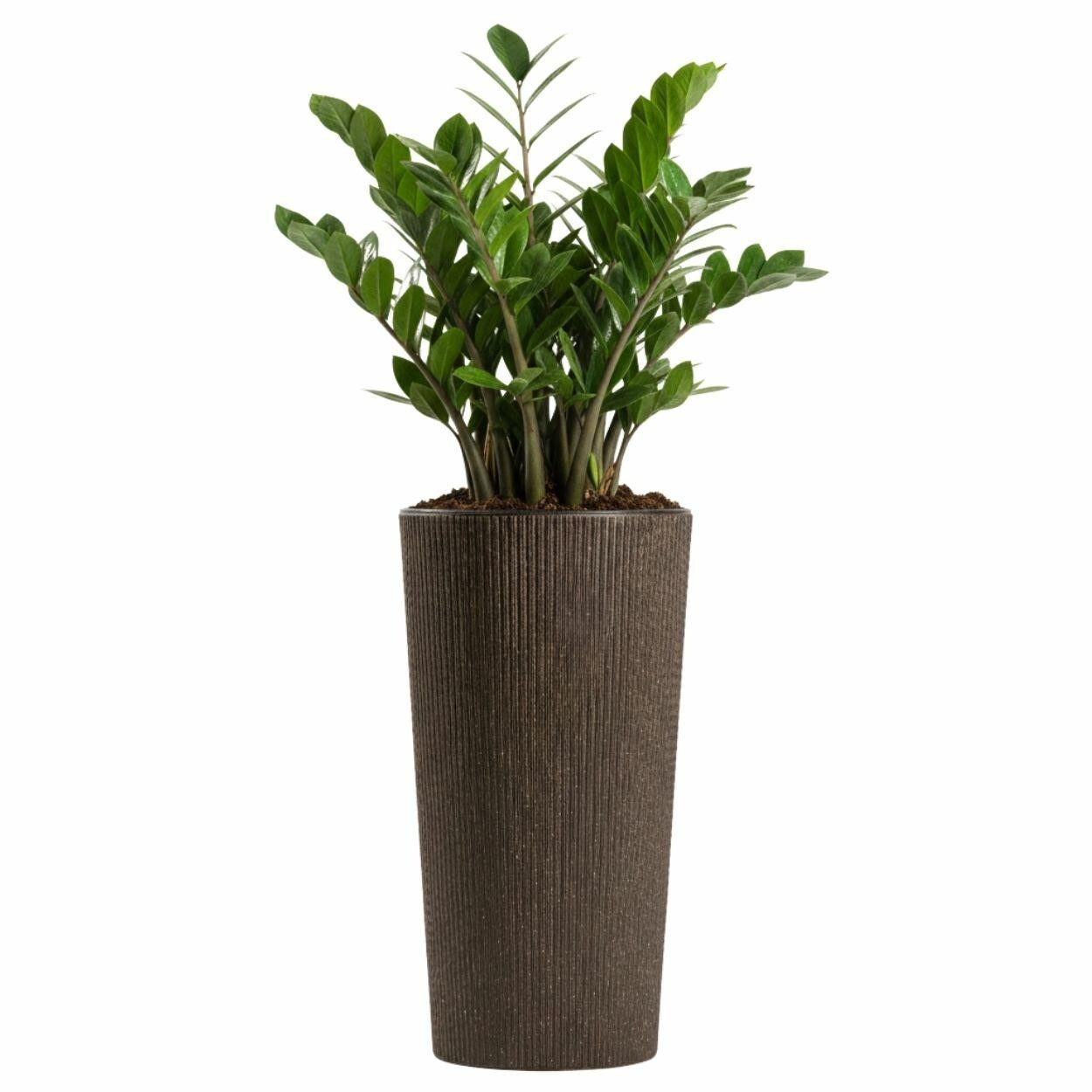 Květináč URBANIKA Coffee 36,4x19,6 cm hnědý