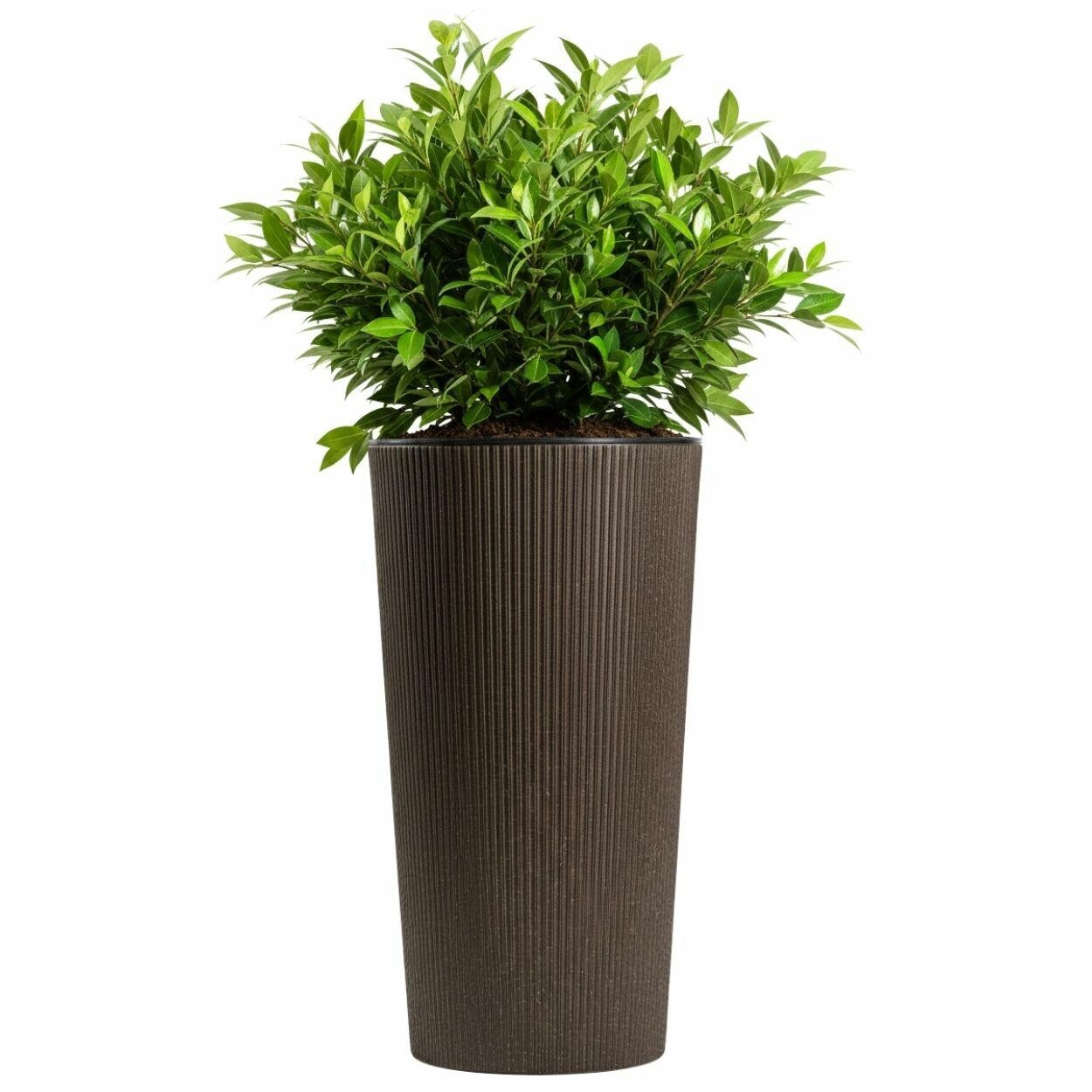 Květináč URBANIKA Coffee 57,1x29,5 cm hnědý