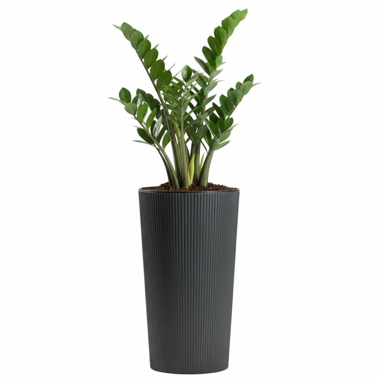 Plastový květináč URBANIKA ECO 46,6x25,5 cm antracitový