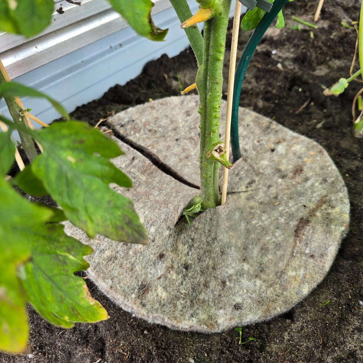 Prírodná záhradná vlna Mary's Disc, 37 cm