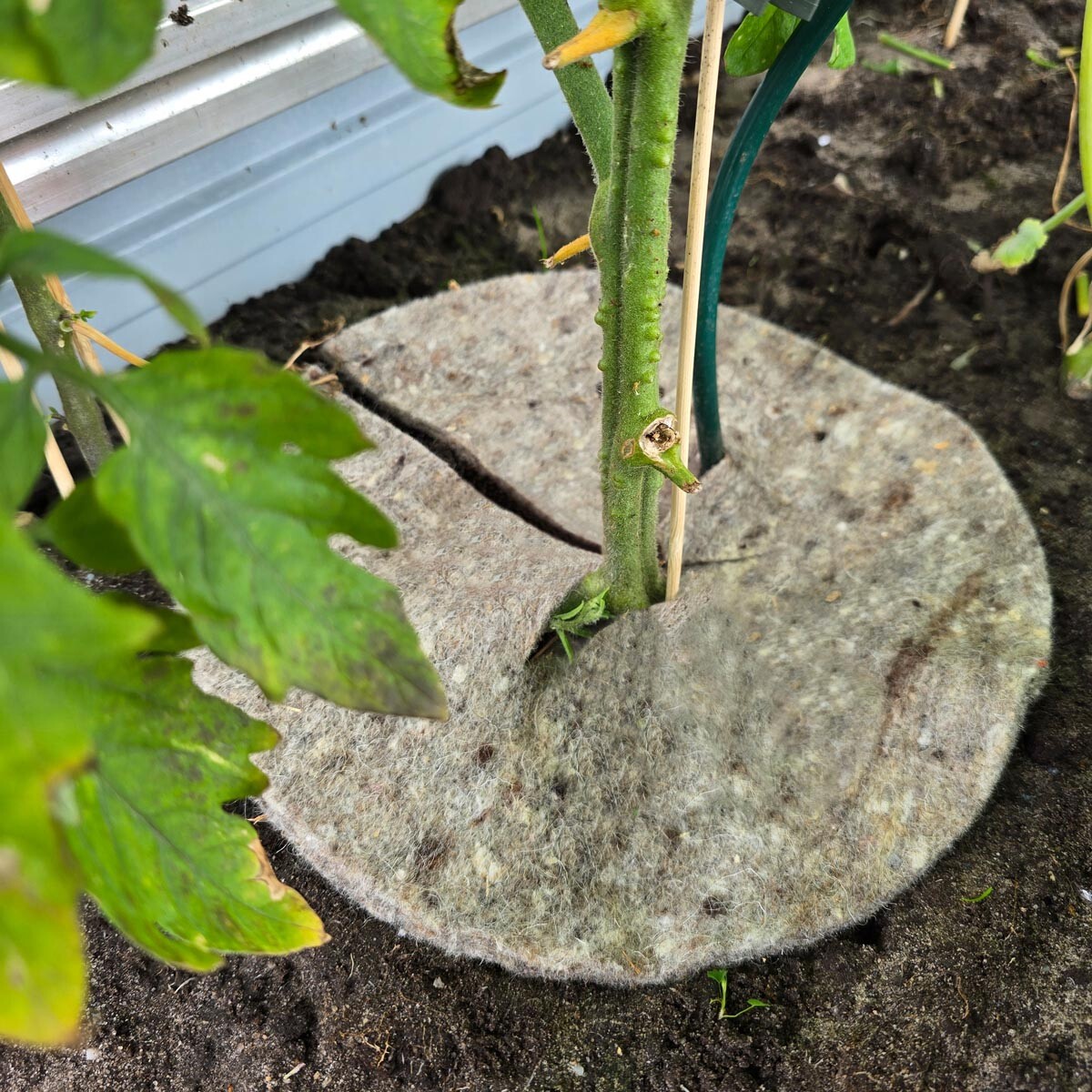 Prírodná záhradná vlna Mary's Disc, 45 cm