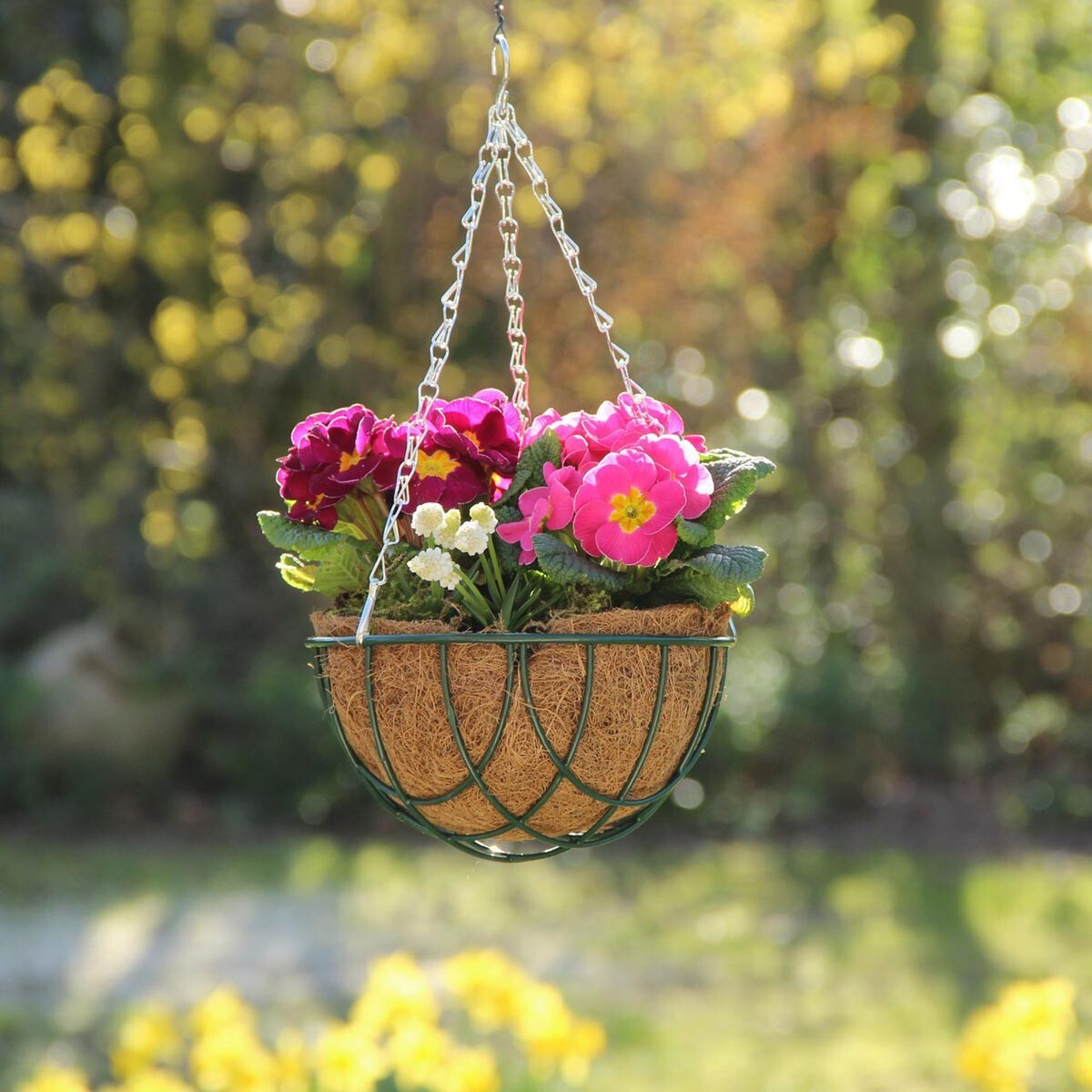 Závesný kvetináč TRADITION s kokosovou vložkou