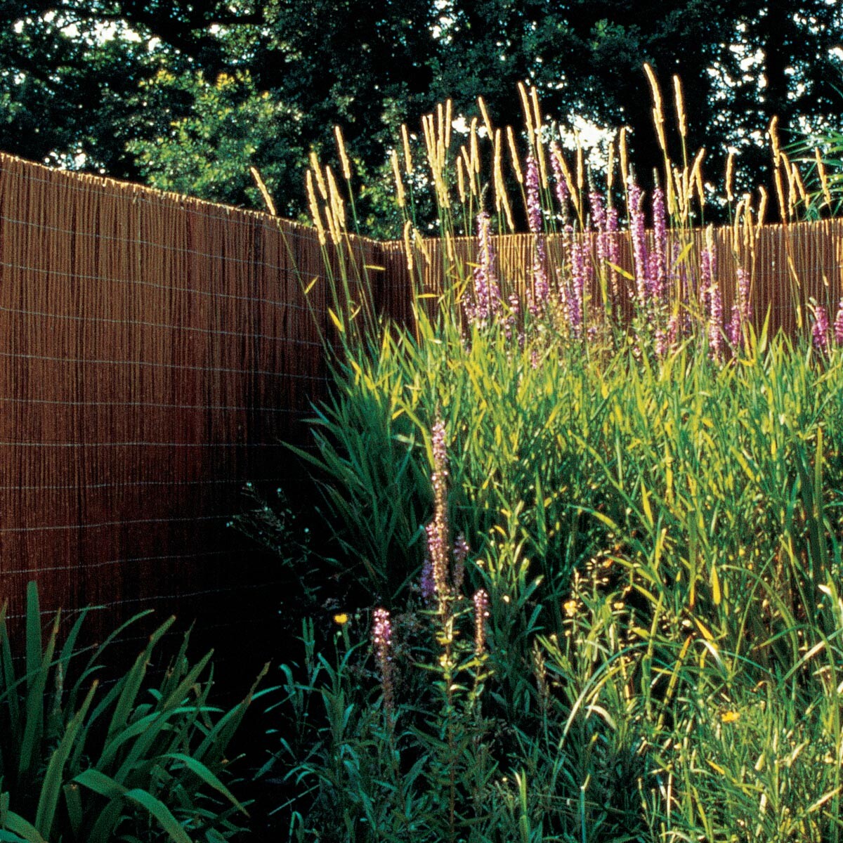 Vŕbový plot PROVENCE, 150 x 300 cm, prírodný