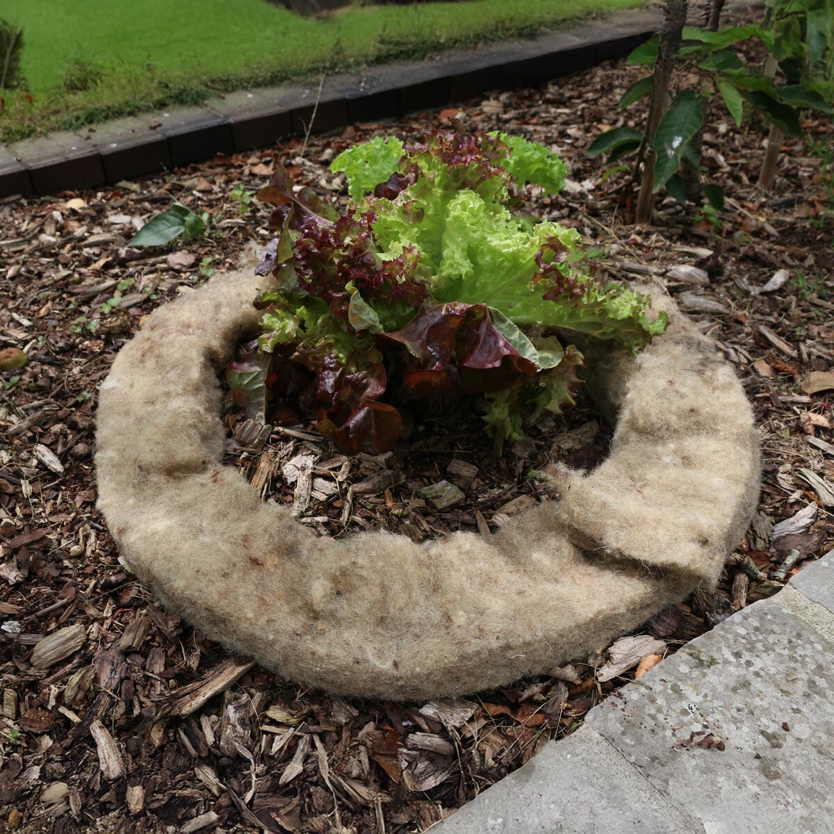 Máriina prírodná záhradná vlna proti slimákom