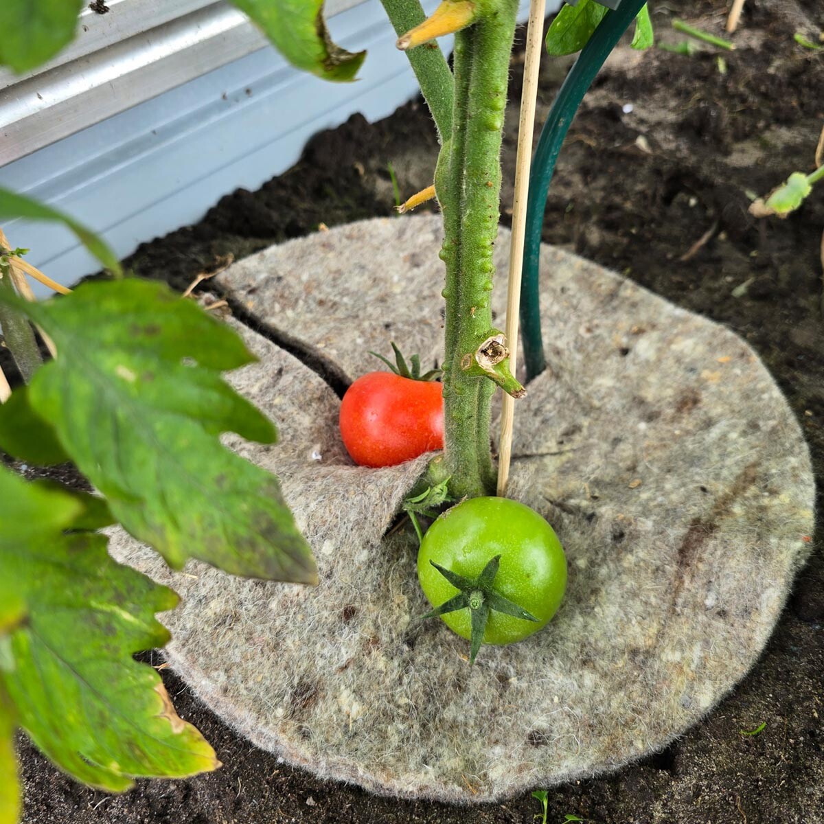 Prírodná záhradná vlna Mary's Disc, 24 cm