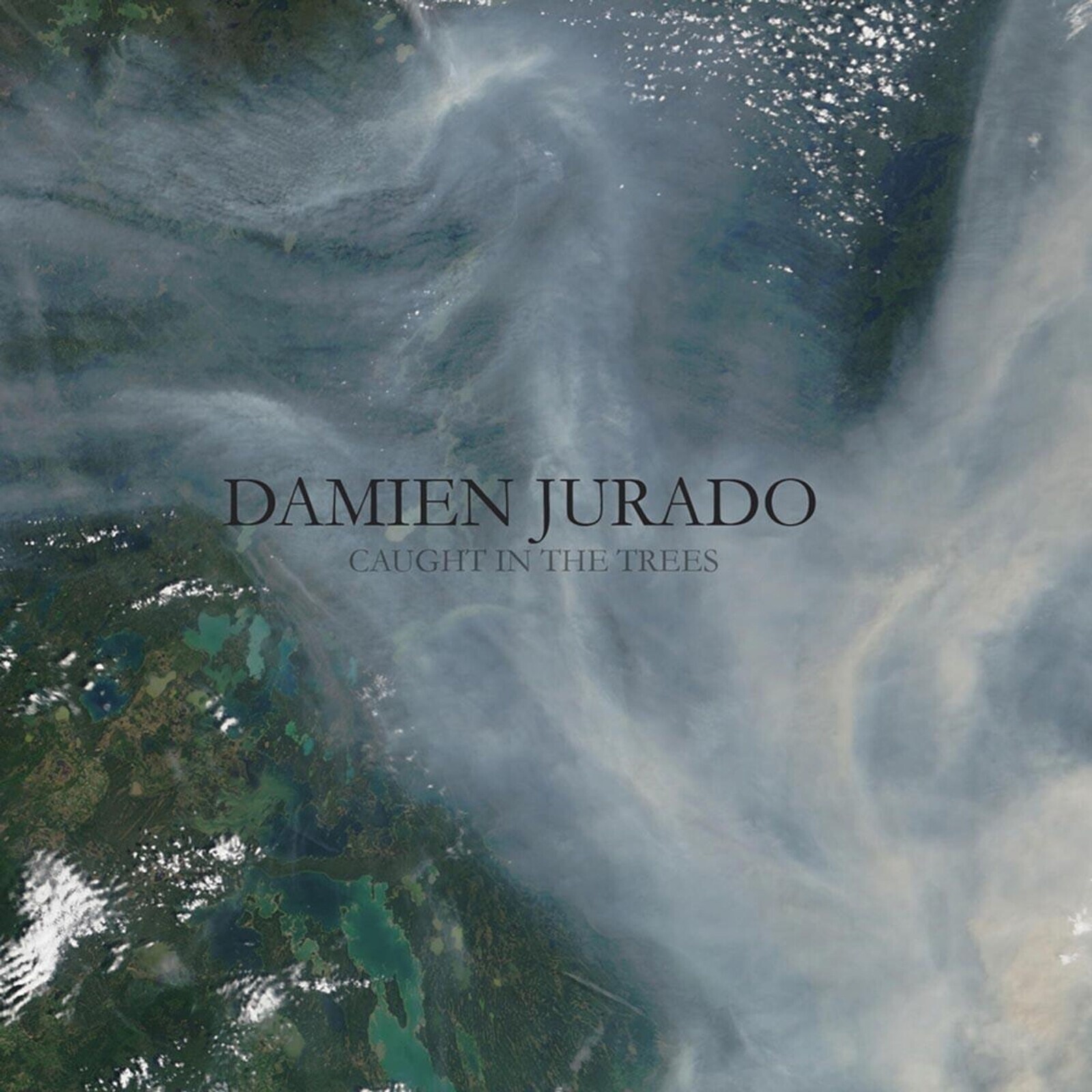 JURADO, DAMIEN - CAUGHT IN THE TREES