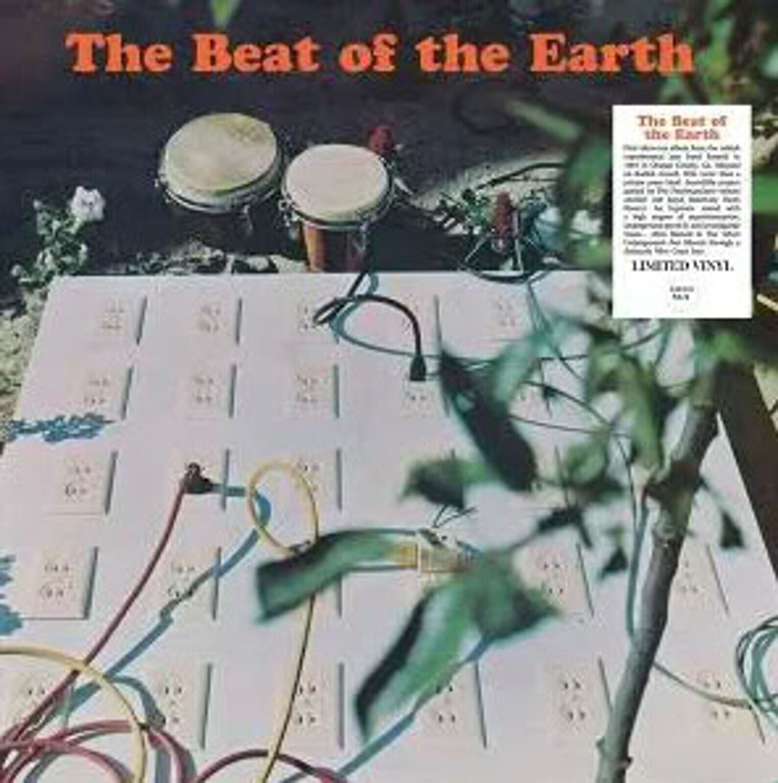 THE BEAT OF THE EARTH