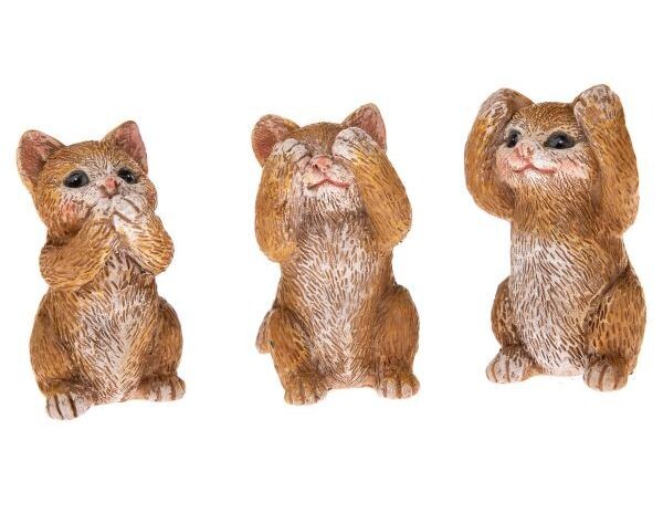 Mačacia mama Sada 3 mačiek 