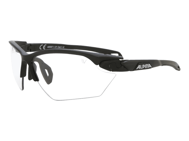 Alpina Overview Black Transparent