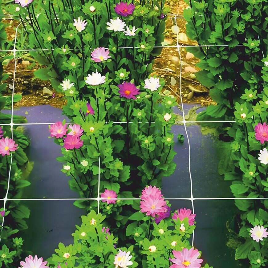 Podporná sieť rastlín 2x10 m 8 g/m2 15x17 mm