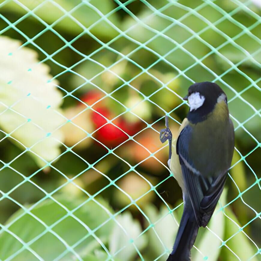 Ochranná sieť proti vtákom 5x5 m 10 g/m2 17x17 mm