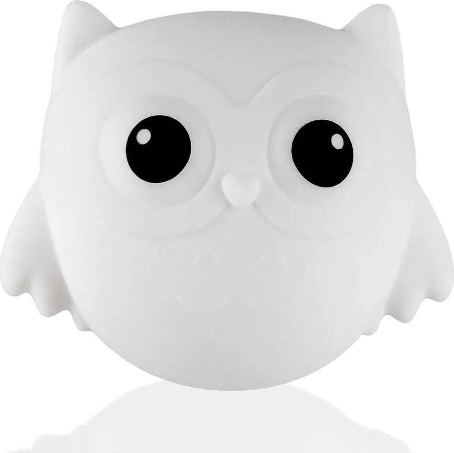Zopa – Nástenné svetlo Owl