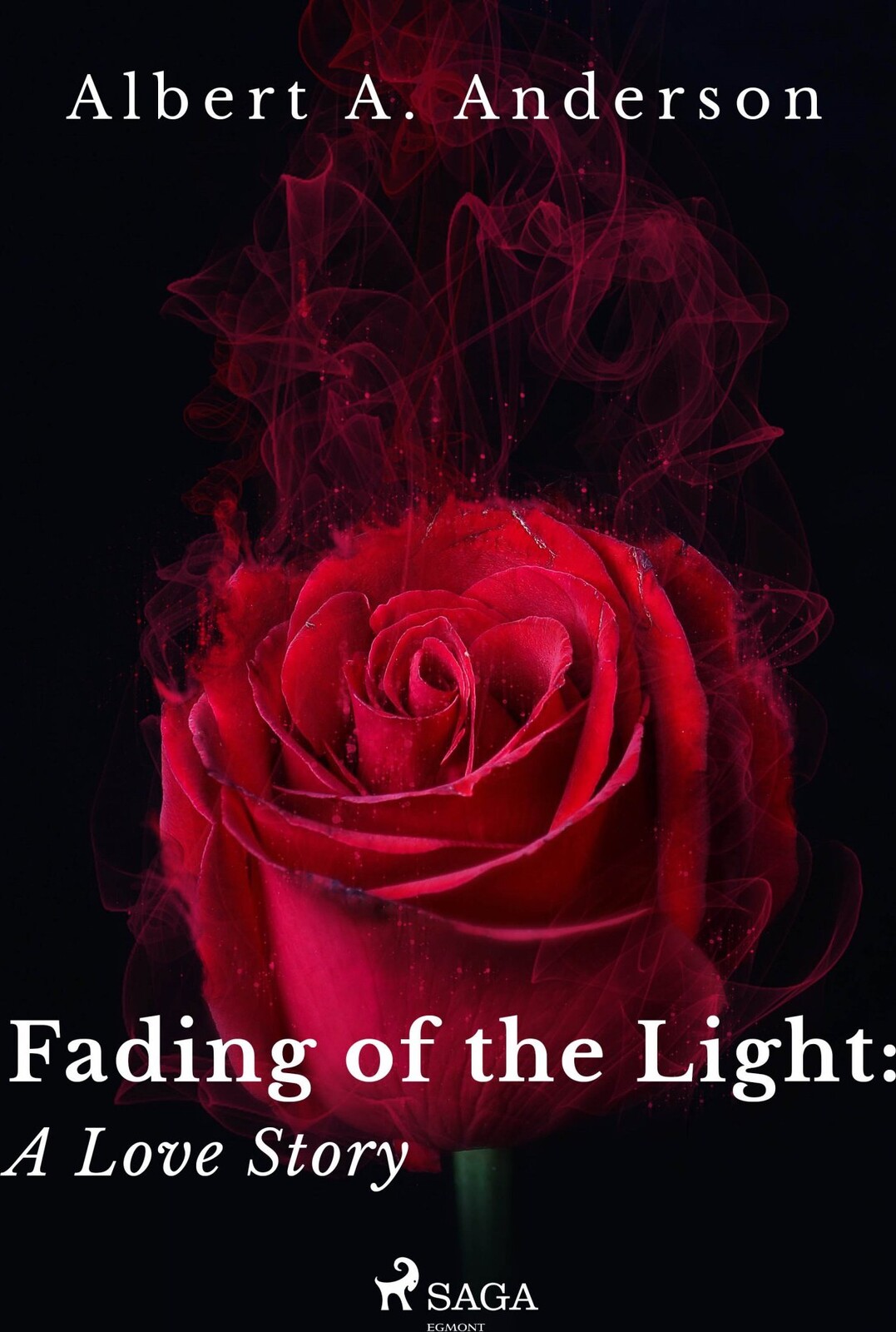 Fading of the Light: A Love Story