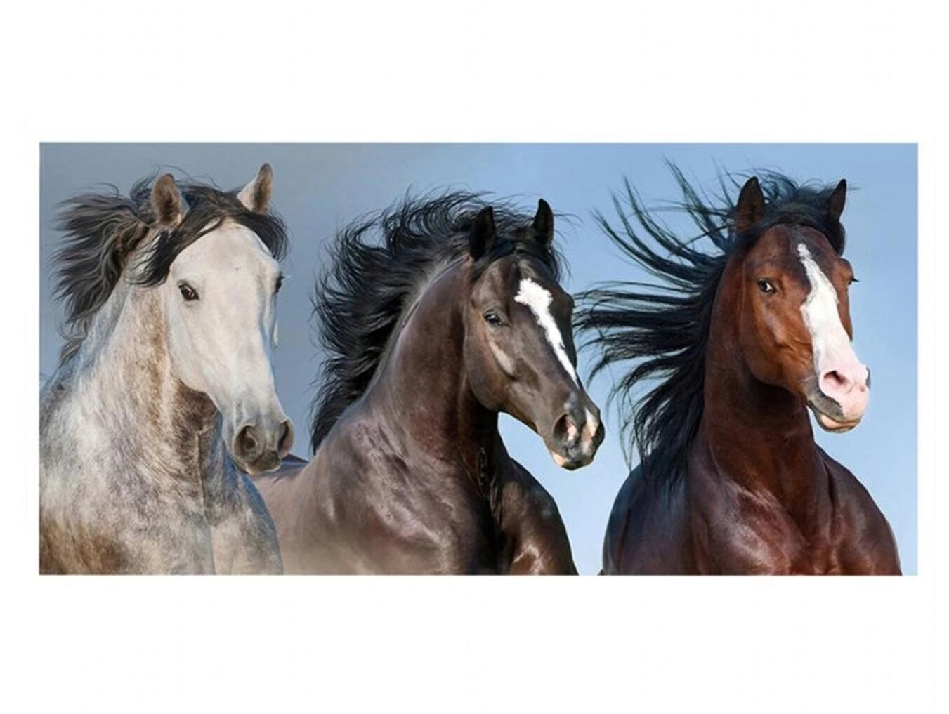 Carbotex Divocí koně v přírodě 70 × 140 cm