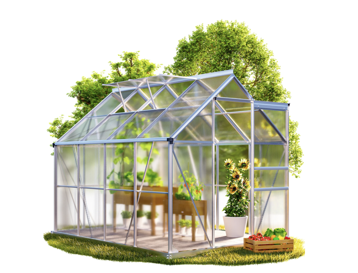 Zahradní skleník Dyer se základem a 2 střešními okny 250x190x195 cm stříbrný