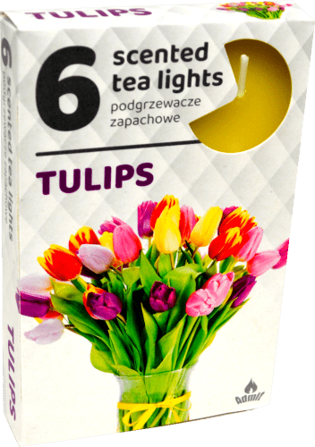 Admit Parafínová čajová sviečka Tulipán 6 ks