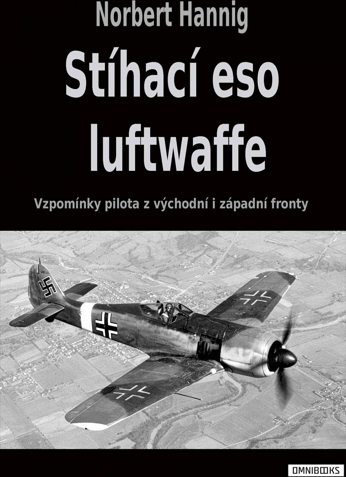 Stíhací eso luftwaffe