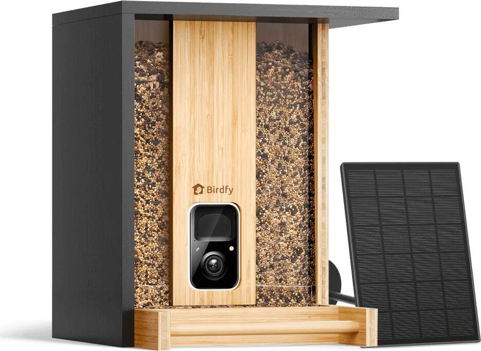 Birdfy Feeder Bamboo Solar – doživotná AI zadarmo