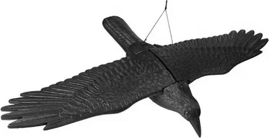 DuraHome Plašič ptactva Havran, létající, závěsný 80 × 44 × 12 cm