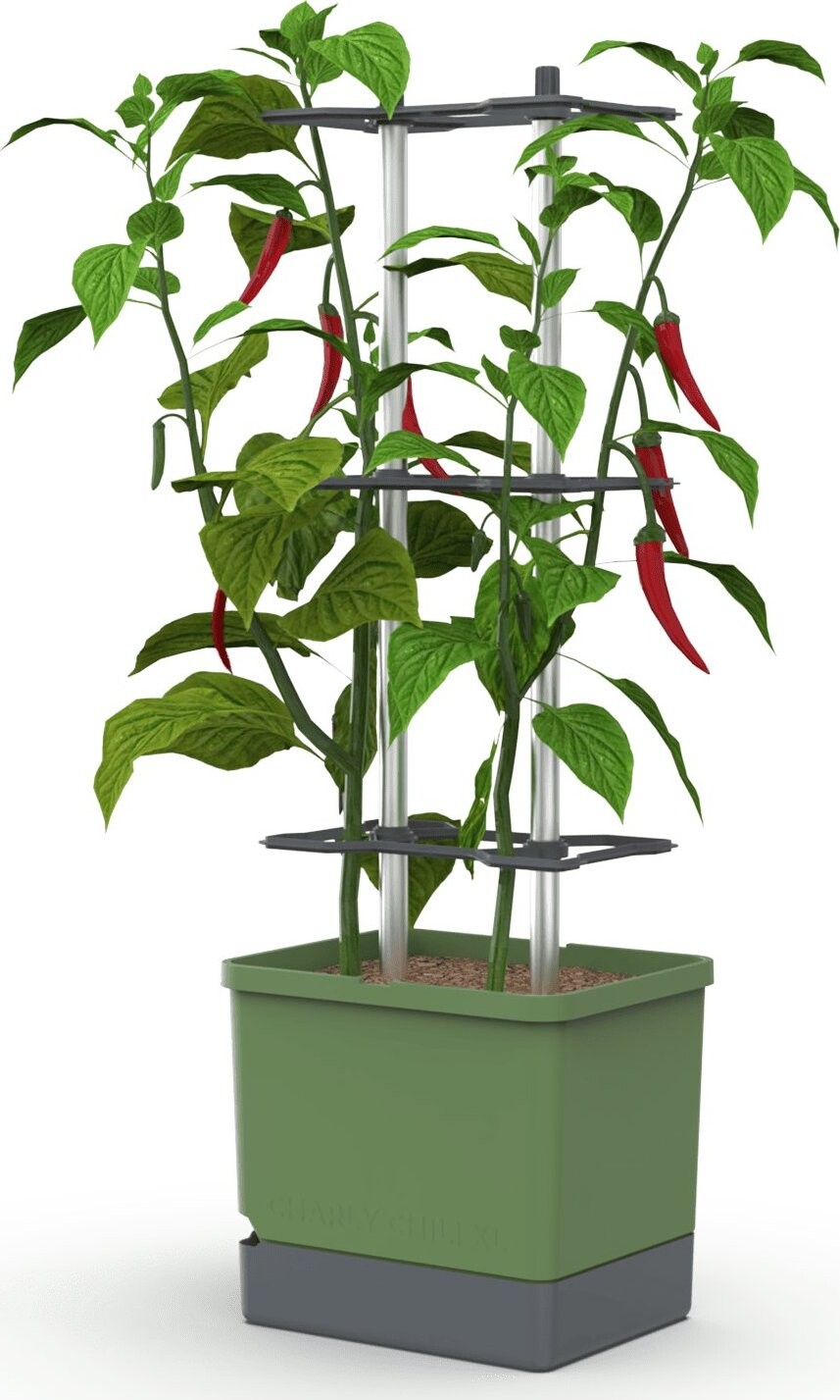 Gusta Garden CHARLY CHILY Štandard samozavlažovací kvetináč, tmavo zelený