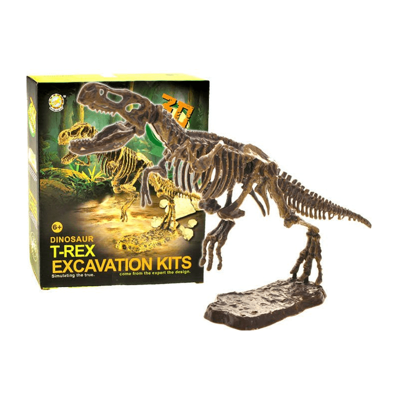 ZA1777 A DR T-Rex pre malého paleontológa 3D