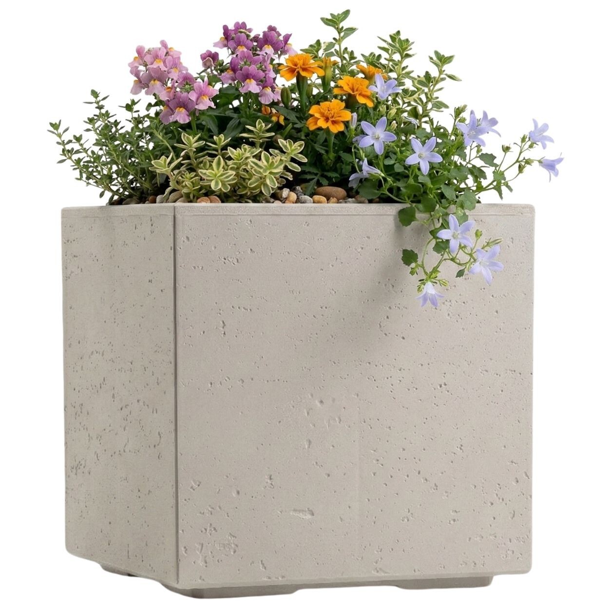 Květináč na kolečkách BETONIQUE 30x30 cm beton - výber z 8 prevedení