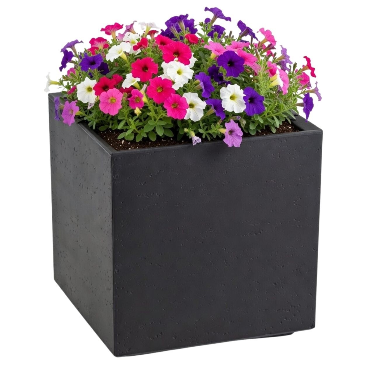 Květináč na kolečkách BETONIQUE 40x40 cm beton černý