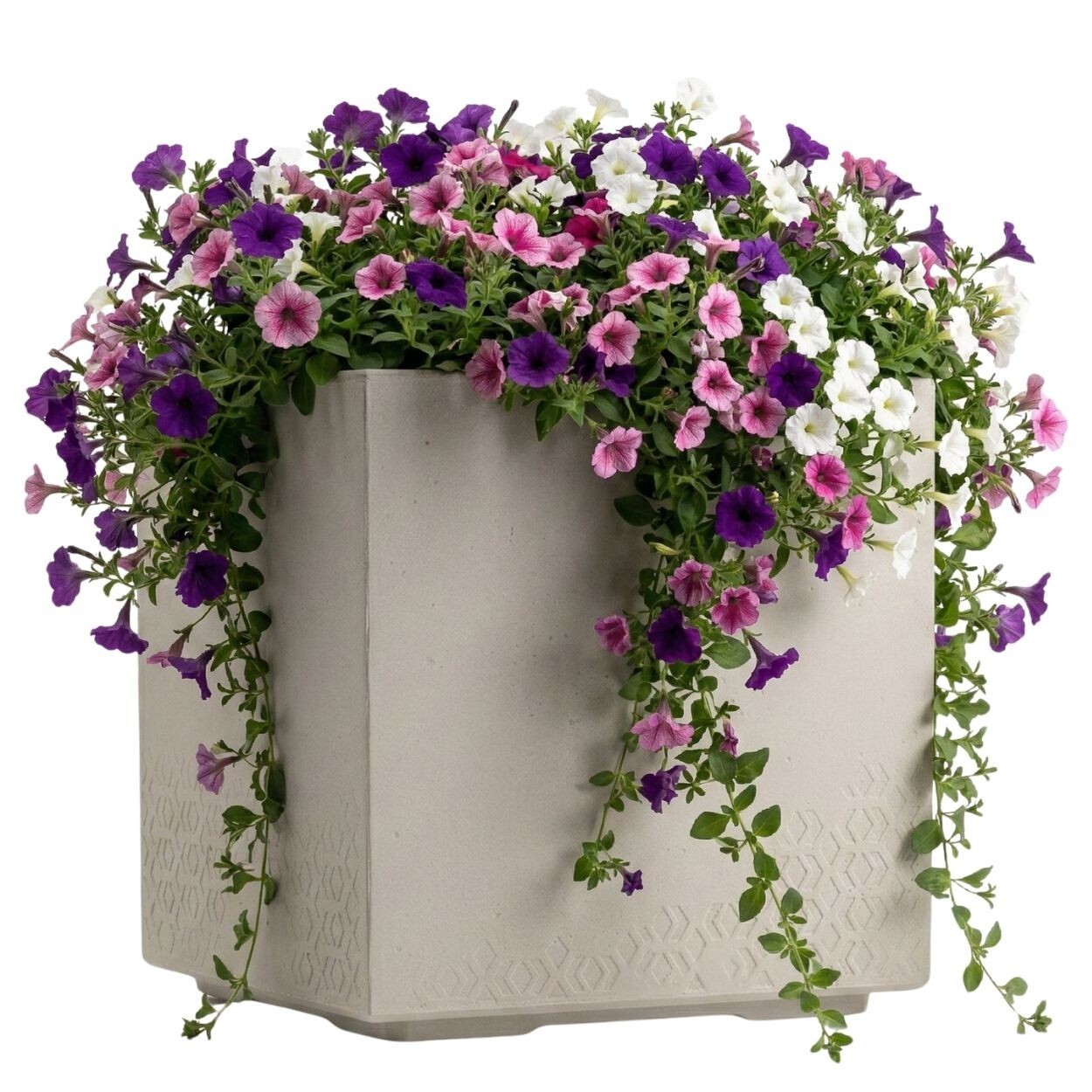 Květináč na kolečkách BETONIQUE 40x40 cm béžový